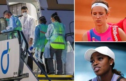 3 sao tennis mang họa do đi cùng chuyến bay dự Australian Open có người nhiễm COVID-19