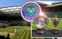 Top 8 sao tennis tiếc hận do thiếu Wimbledon 