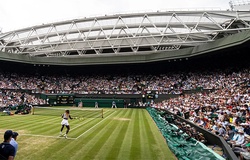 Giải tennis Wimbledon 2021 có bao nhiêu tiền thưởng?