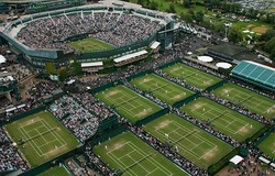 Kết quả tennis và lịch thi đấu Wimbledon mới nhất