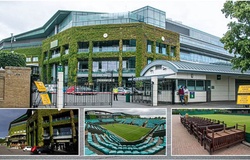 Bị COVID-19 biến thành "thị trấn ma", Wimbledon hiện trông chán tới mức nào?