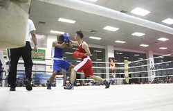 Háo hức chờ những tay đấm “săn vàng” tái xuất tại giải vô địch Boxing TP.HCM 2020