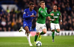 Lịch trực tiếp Bóng đá TV hôm nay 14/9: Brighton vs Chelsea