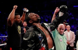 Dillian Whyte nhận mưa gạch đá từ đồng nghiệp sau trận thua KO