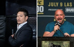 Mô hình và cách tổ chức của một số giải MMA trên thế giới