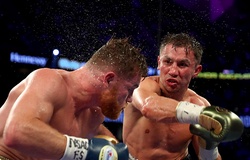 Các cơ bắp quan trọng trong tập luyện và thi đấu Boxing 