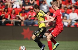 Trực tiếp Wellington Phoenix vs Adelaide United: Giữ lại 3 điểm