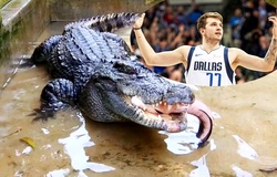 Luka Doncic đặt mục tiêu hạ gục một con... cá sấu!