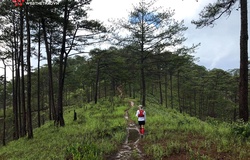 Thử thách sức chịu đựng với đường chạy Dalat Ultra Trail 2020 mùa mưa trắng trời