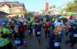 Dalat Ultra Trail 2020 công bố thời gian giới hạn, VĐV chuẩn bị tránh DNF