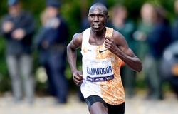 Sao marathon Kenya, đồng hương Eliud Kipchoge bị xe máy đâm khi chạy