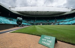 BTC Wimbledon 2020 gây sốc: Vẫn trả thưởng dù các tay vợt không đấu!