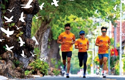 Hồng Lệ nhận xét đường đua marathon quốc gia ở Côn Đảo trước thềm SEA Games 31