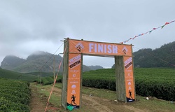 Mộc Châu sẵn sàng đón runner dự VTM 2019 với hoa mận trắng, đồi chè xanh