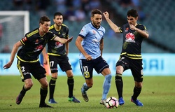 Nhận định Wellington vs Sydney FC 13h35, 23/1 (vòng 15 VĐQG Australia)