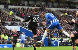 Nhận định Brighton vs West Brom 22h00, 26/1 (vòng 4 FA Cup)