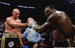 WBC xác nhận trận tái đấu giữa Deontay Wilder và Tyson Fury bị hoãn