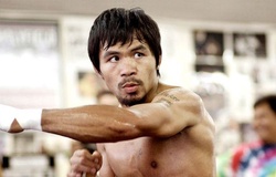 Manny Pacquiao "cắn răng bặm môi" để con trưởng nối nghiệp mình