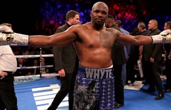 Dillian Whyte "làm mình làm mẩy" đòi tranh đai