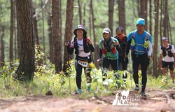 Lợi và Hại của những bề mặt đường chạy phổ biến