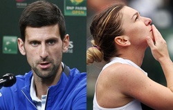 Địa chấn ở Indian Wells: 3 "trùm cuối" Djokovic, Osaka, Halep rụng lả tả