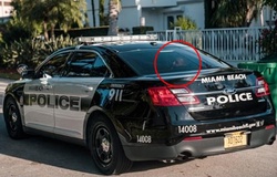 Người bị giật điện thoại kể gì về vụ chạm trán Conor McGregor?