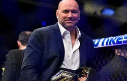 Những ngôi sao trẻ nào đang nhận được sự chú ý của Dana White?