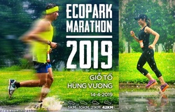 Những sự kiện thể thao, chạy bộ không thể bỏ lỡ trong quý 2 năm 2019