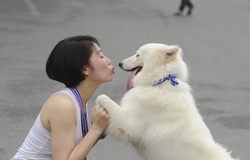 Khi chủ và cún xinh là bạn đồng hành trên đường chạy