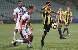 Nhận định Wellington Phoenix vs Newcastle Jets 13h35, 30/03 (vòng 23 VĐQG Úc)