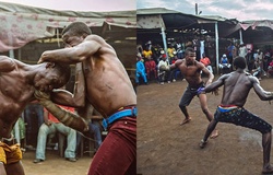Dambe boxing: Môn võ bạo tàn của người Tây Phi