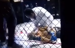 Võ sĩ MMA 22 tuổi qua đời sau khi bị knock out trên sàn