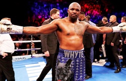 Dillian Whyte, 4 triệu Bảng cho tái đấu vẫn chê ít