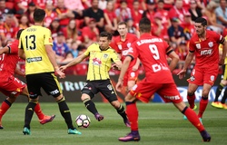 Nhận định Adelaide United vs Wellington Phoenix 14h00, 07/04 (vòng 24 VĐQG Úc)