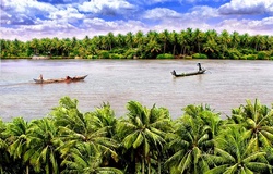 Mekong Delta Marathon: Cứu lấy Đồng bằng Sông Cửu Long