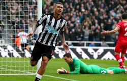 Nhận định Newcastle vs Southampton 23h30, 20/04 (vòng 35 Ngoại hạng Anh)