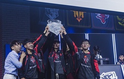 Phong Vũ Buffalo đang được đặt rất nhiều kỳ vọng tại kỳ MSI 2019!