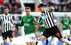 Dự đoán Brighton vs Newcastle 23h30, 27/04 (vòng 36 Ngoại hạng Anh)