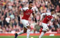 Nhận định, dự đoán Arsenal vs Brighton 22h30, 05/05 (vòng 37 Ngoại hạng Anh)