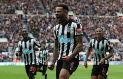 Nhận định, dự đoán Fulham vs Newcastle 21h00, 12/05 (vòng 38 Ngoại hạng Anh)