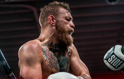Conor McGregor nói về vụ ẩu đả tại UFC 229, nhận thua tâm phục khẩu phục