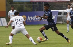 Nhận định, dự đoán Independiente del Valle vs Universidad Catolica 07h30, 24/05 (lượt đi vòng 1/16 Copa Sudamericana)