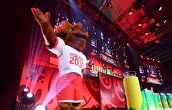 Bảng xếp hạng U20 thế giới 2019