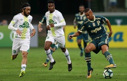 Nhận định, dự đoán Chapecoense vs Palmeiras 05h00, 03/06 (vòng 7 VĐQG Brazil)