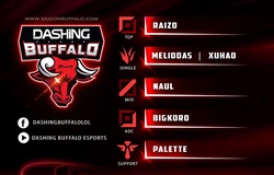 Phong Vũ Buffalo đổi tên thành Dashing Buffalo, công bố đội hình mới