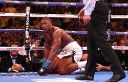 Anthony Joshua thua sốc: Giới võ nói gì?