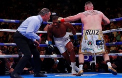 Eddie Hearn xác nhận Anthony Joshua sẽ tái đấu Andy Ruiz tại Anh