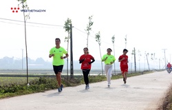 500 cây sấu quà tặng của Hanoi City Trail 2019 giờ ra sao?