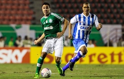 Nhận định, dự đoán Palmeiras vs Avai 06h00, 14/06 (Vòng 9 VĐQG Brazil)