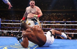 Anthony Joshua nhẹ nhõm sau thất bại trước Andy Ruiz Jr